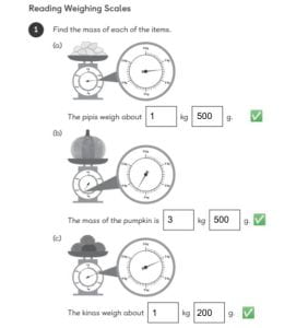 Reading Weighing Scales – Norman @ Panmure Bridge School